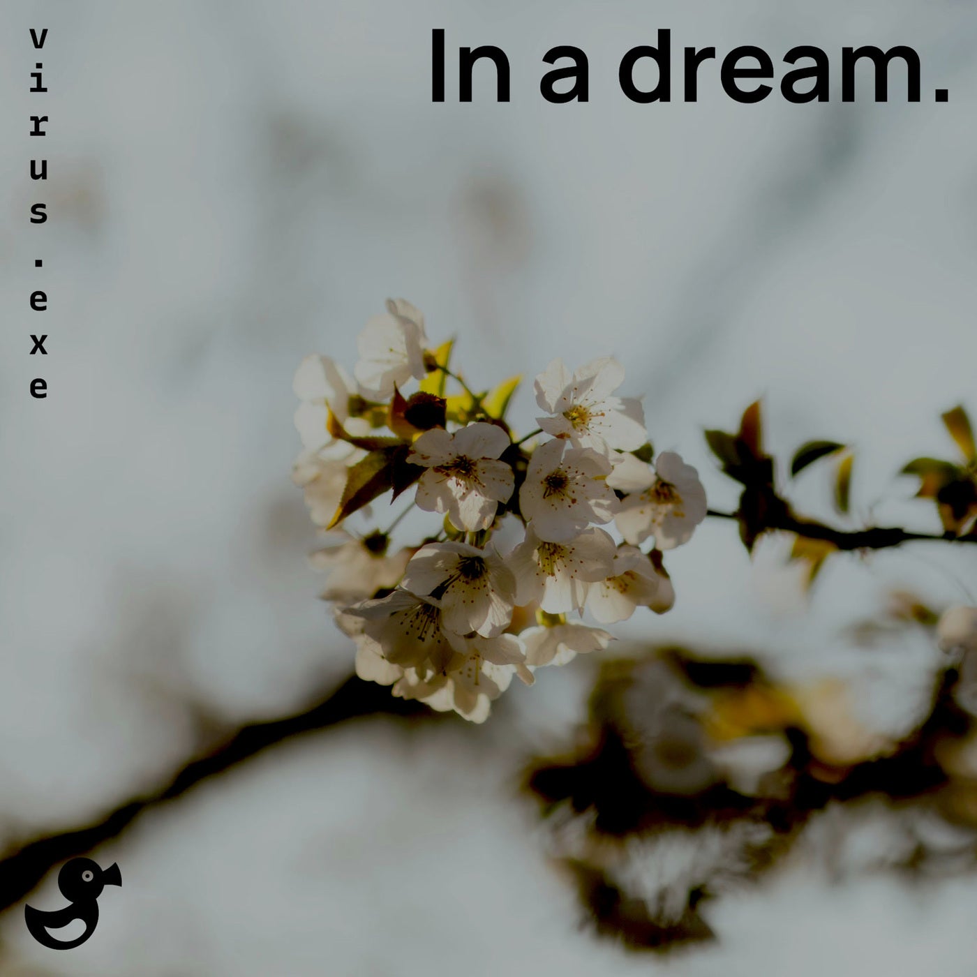 In a dream