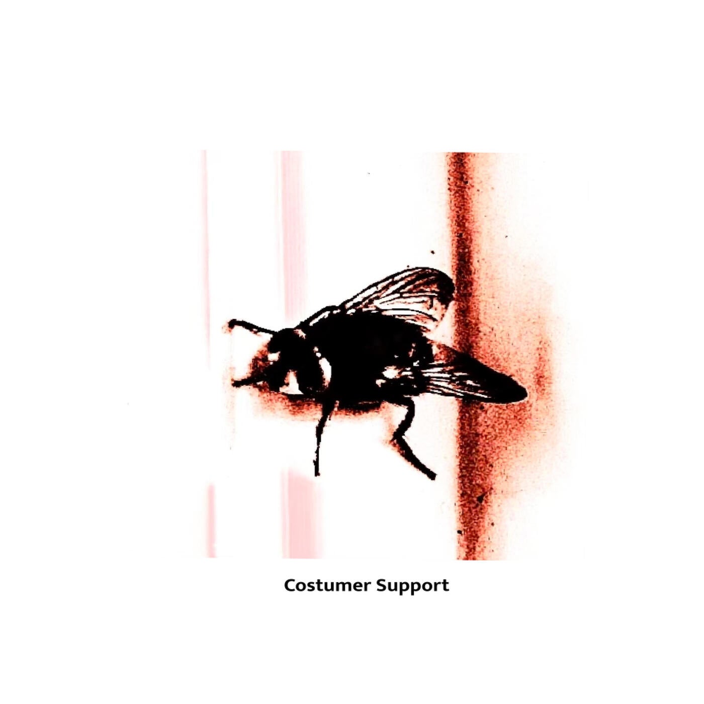Costumer Support