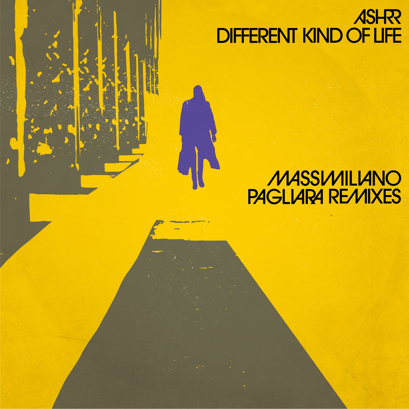 ASHRR - Different Kind Of Life (Massimiliano Pagliara Remixes) [20/20 ...