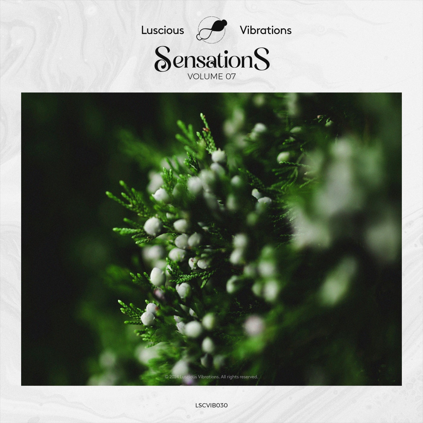 Sensations, Vol. 07