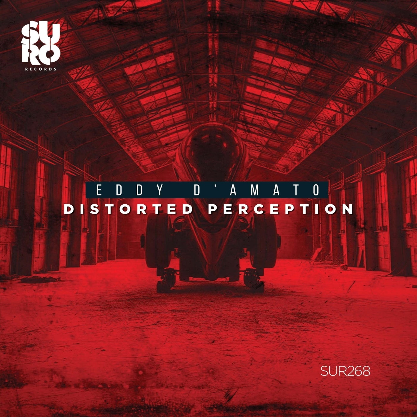 Distorted Perception
