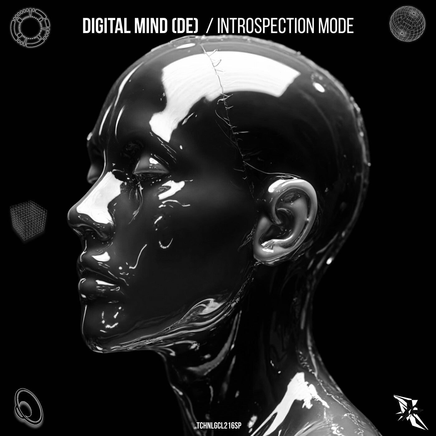 Introspection Mode