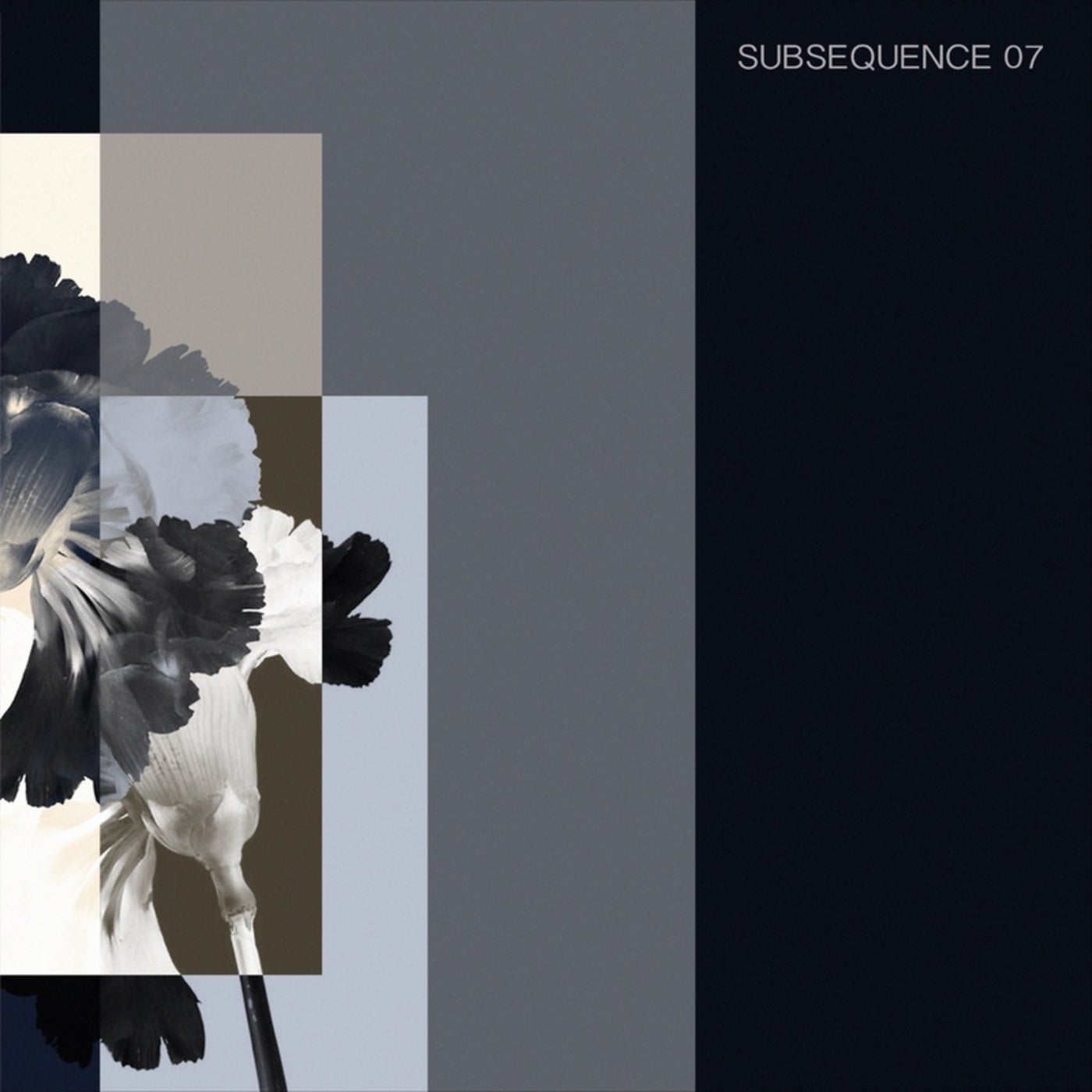 SUBSEQUENCE07