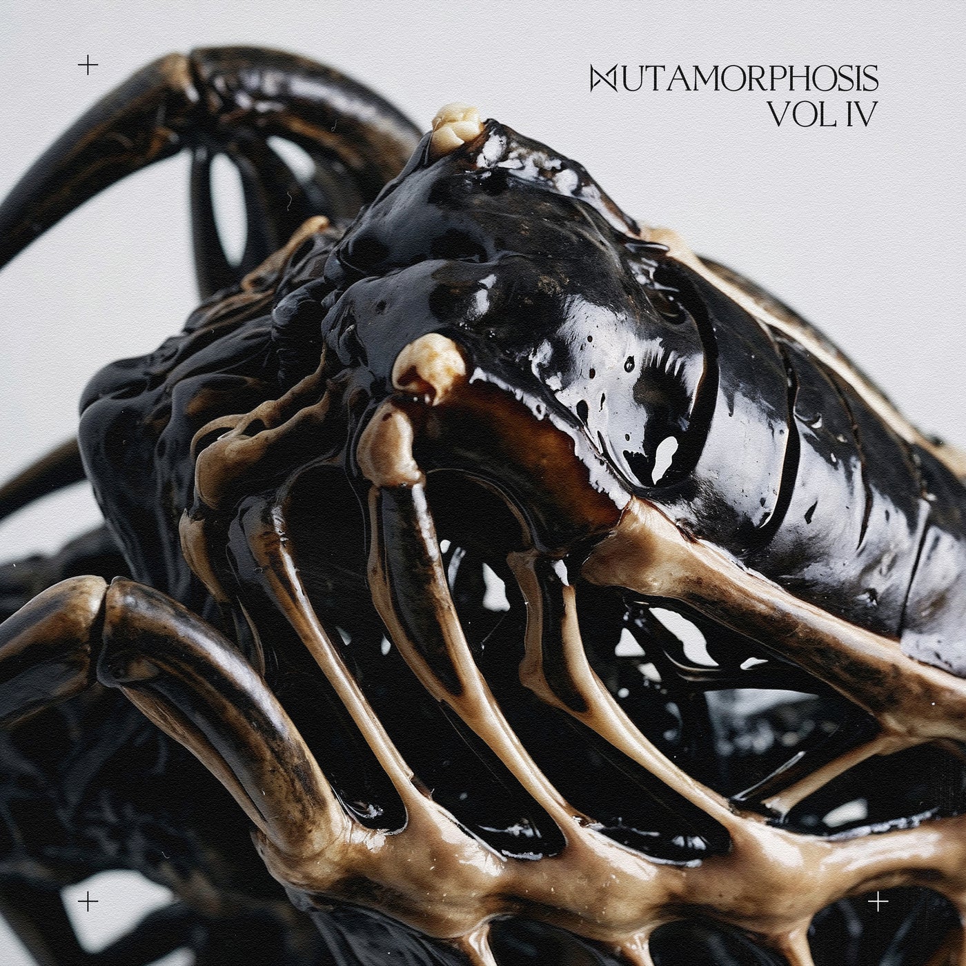 MUTAMORPHOSIS, Pt. 4