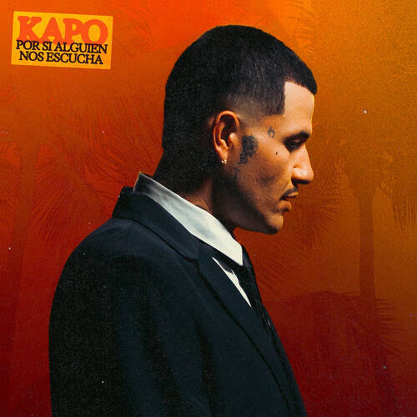 Cover art for POR SI ALGUIEN NOS ESCUCHA