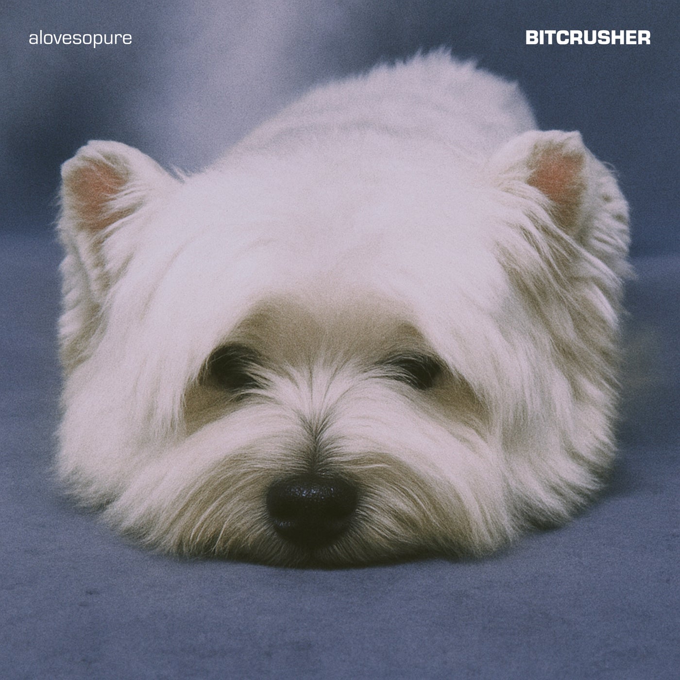 BITCRUSHER