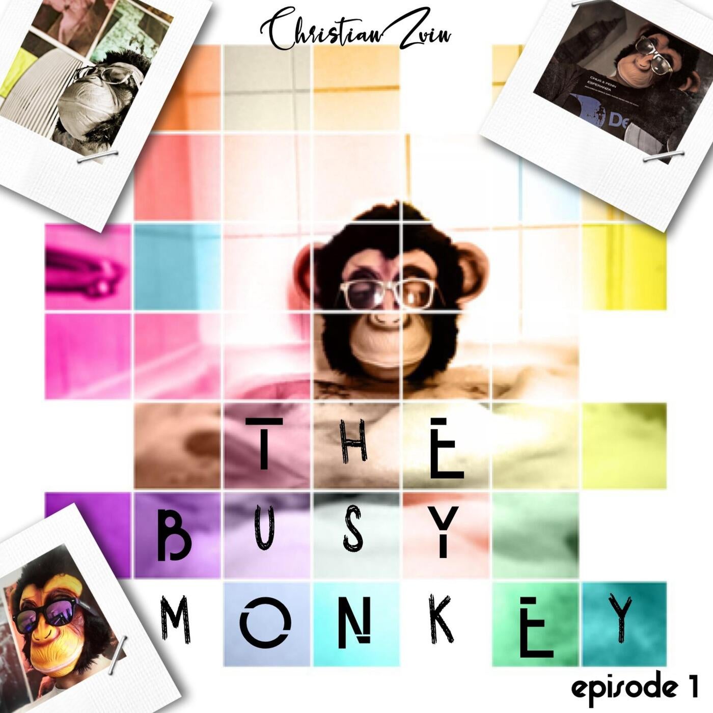 TheBusyMonkey #1