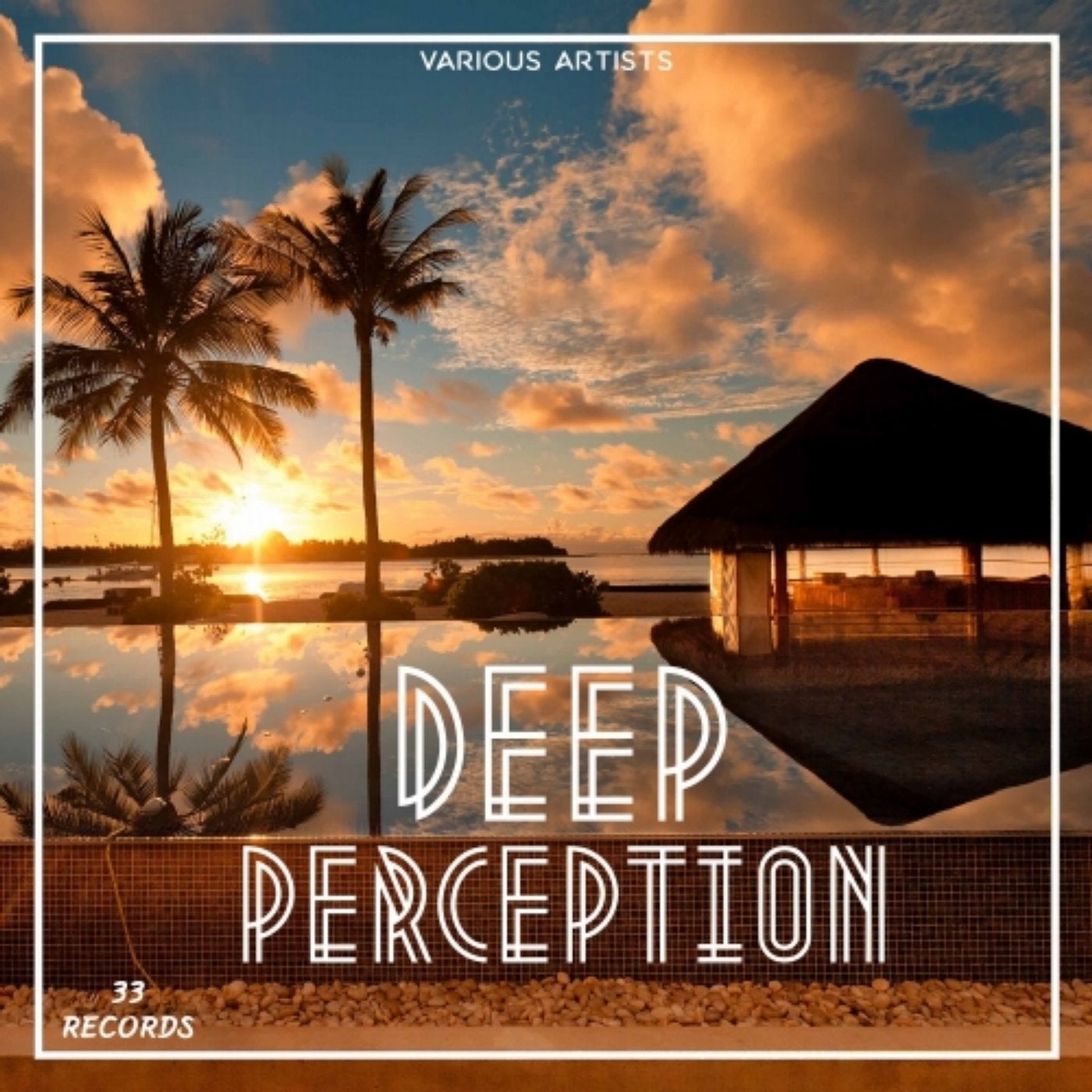 Deep Perception