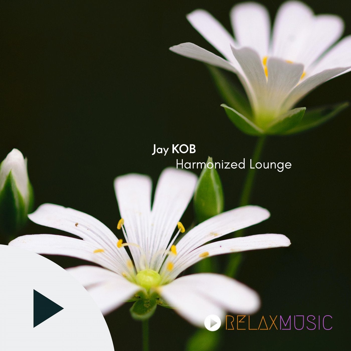 Harmonized Lounge