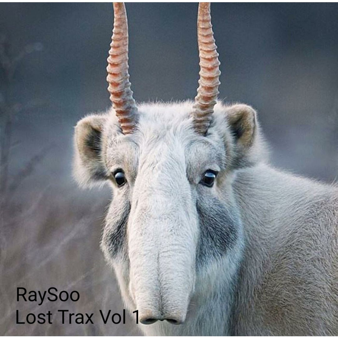 Lost Trax Vol 1