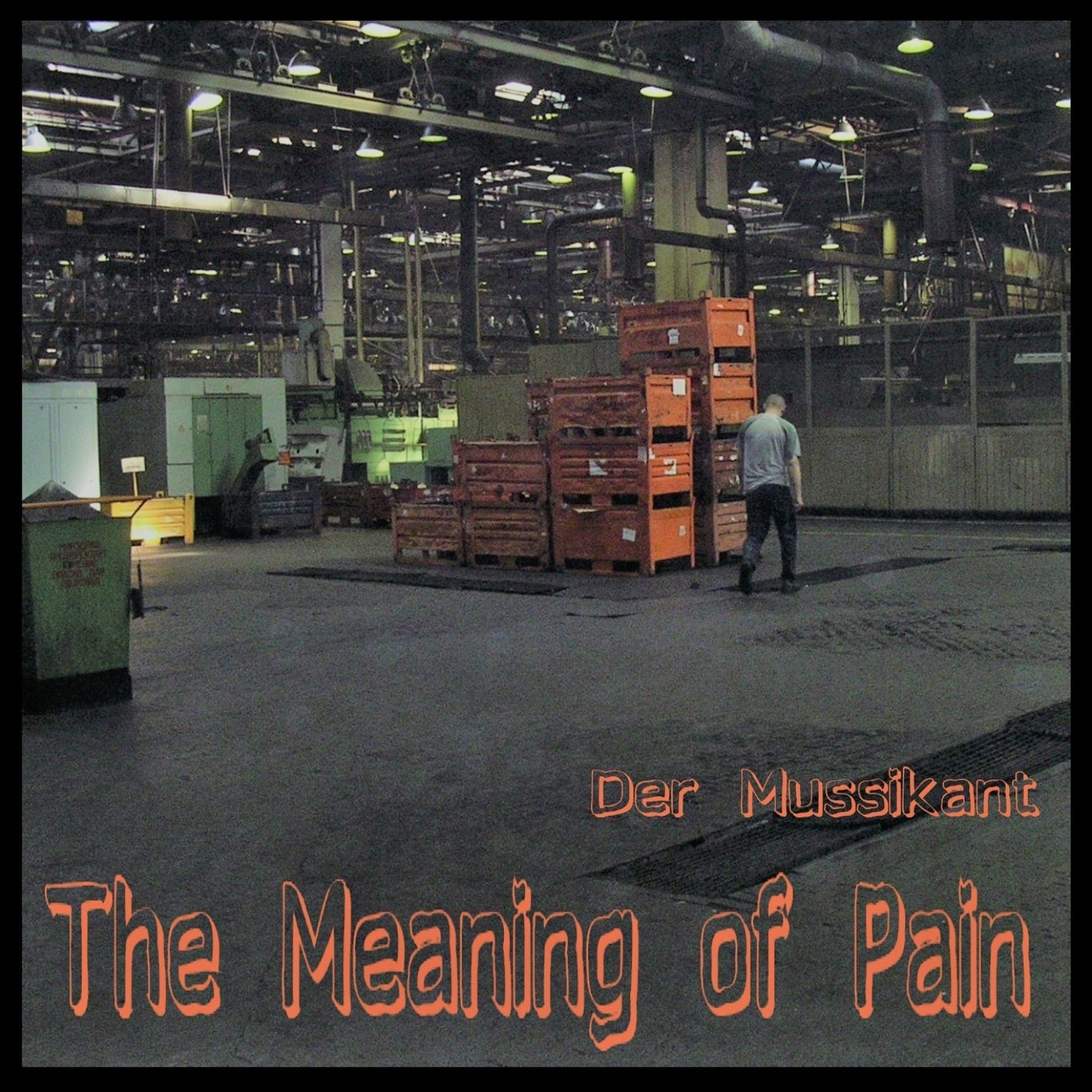 The Meaning of Pain