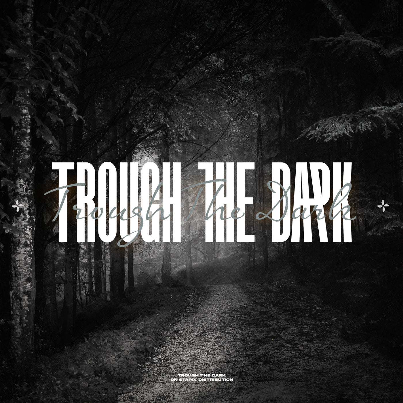 Trough The Dark