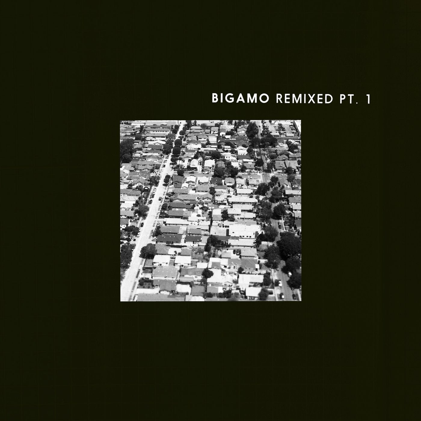 Bigamo Remixed Pt. 1