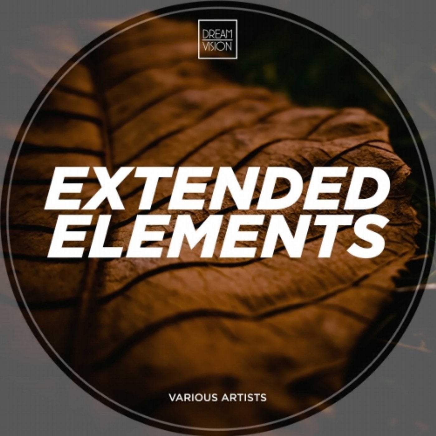Extended Elements