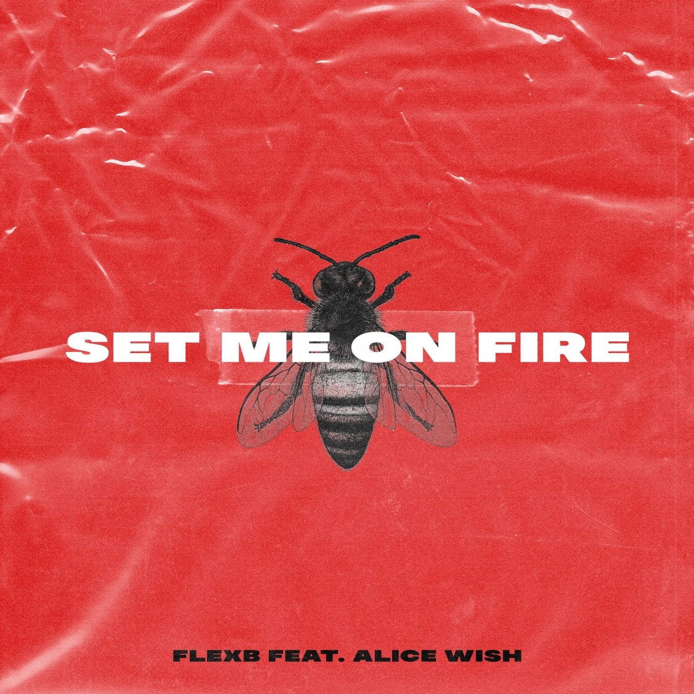 Set Me on Fire (feat. Alice Wish) [Extended]