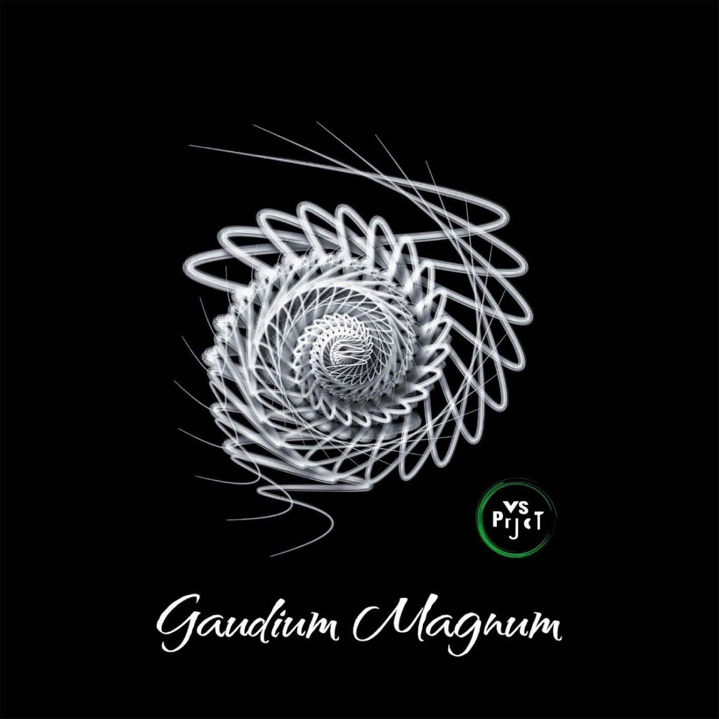 Gaudium Magnum