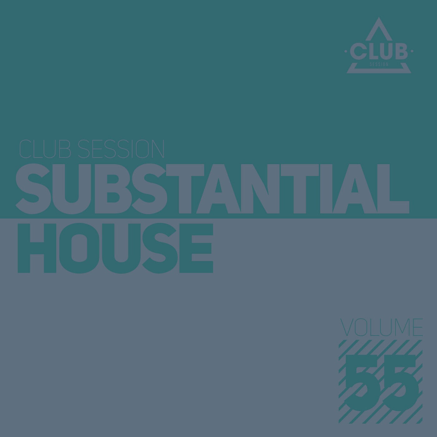 Substantial House Vol. 55