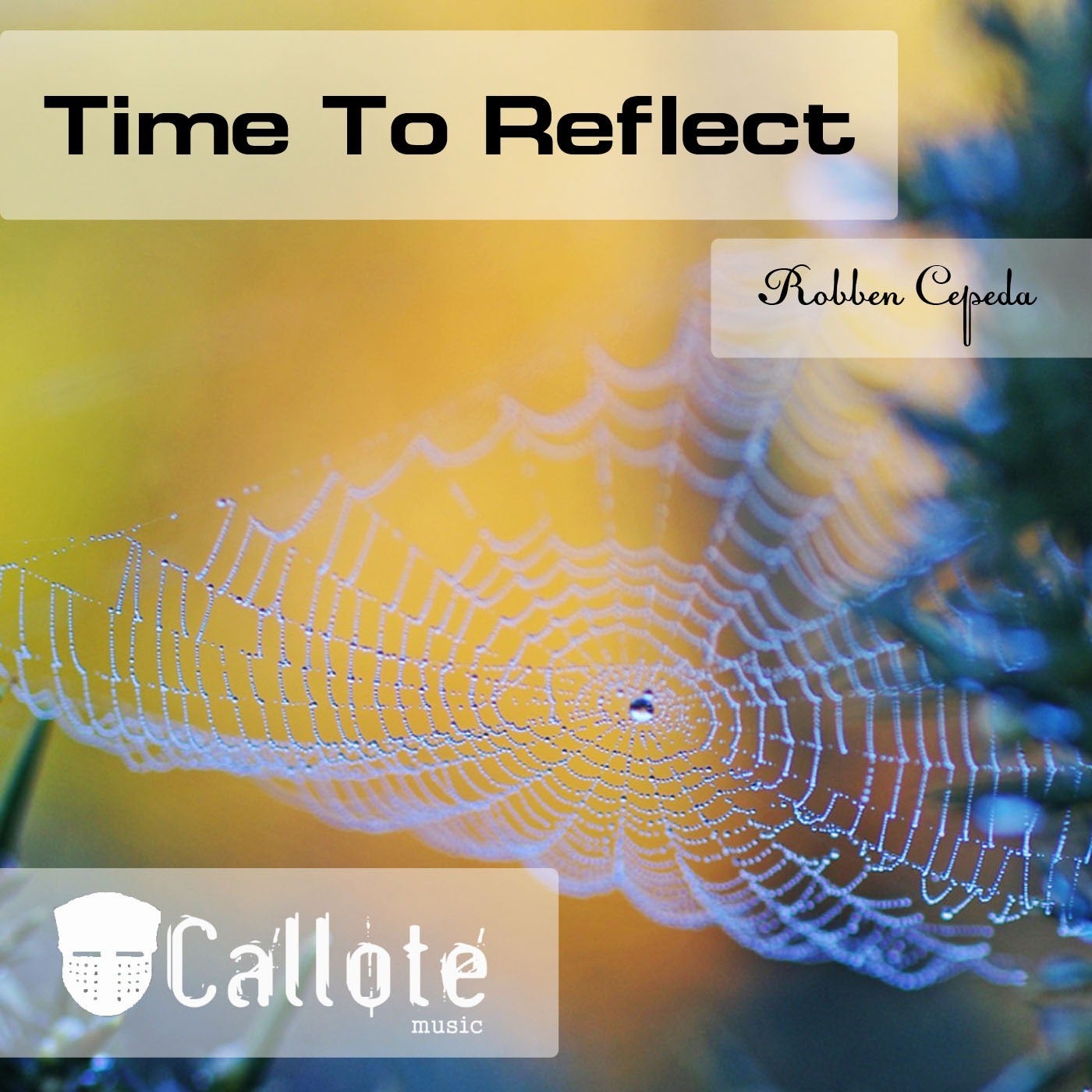 Time to Reflect