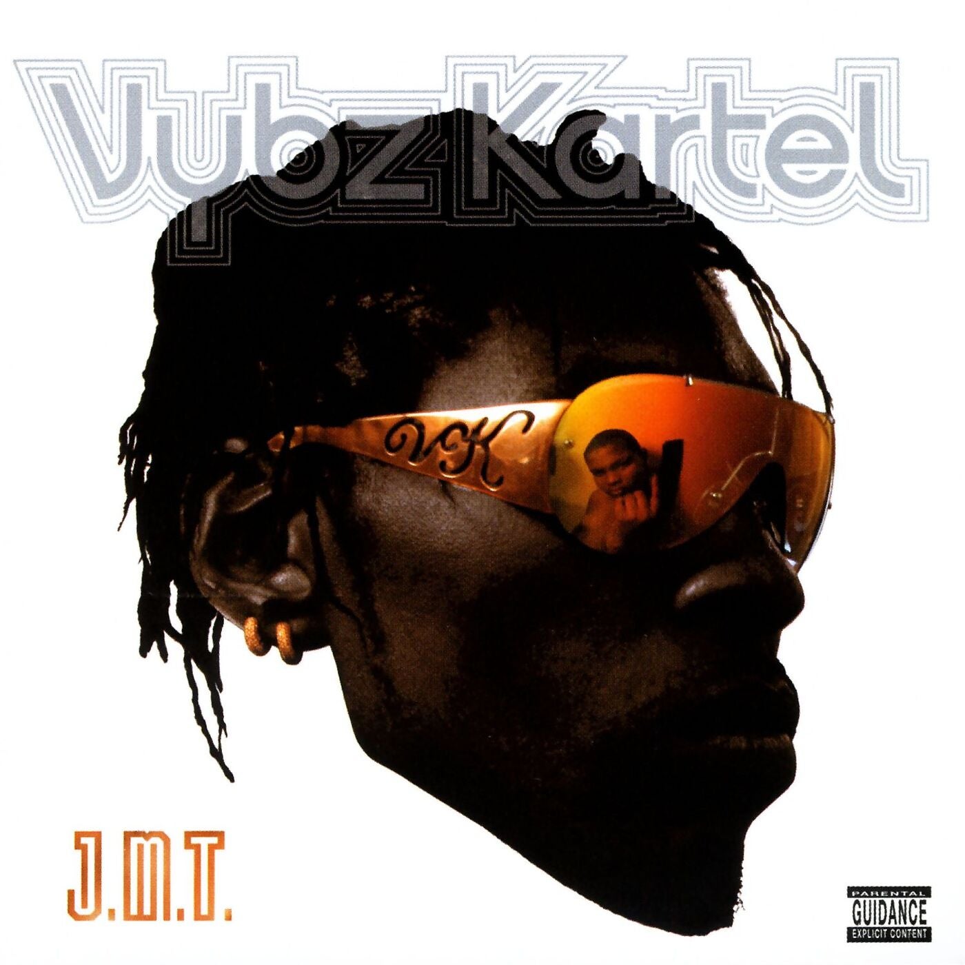 Vybz Kartel - I Neva album artwork