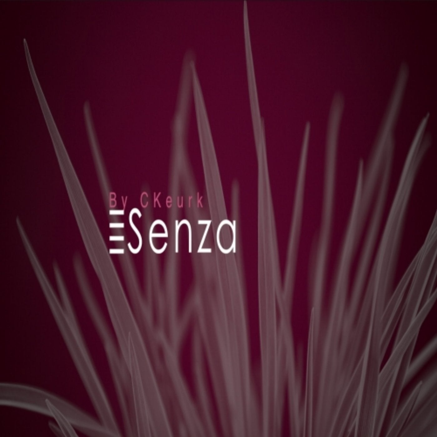 Senza