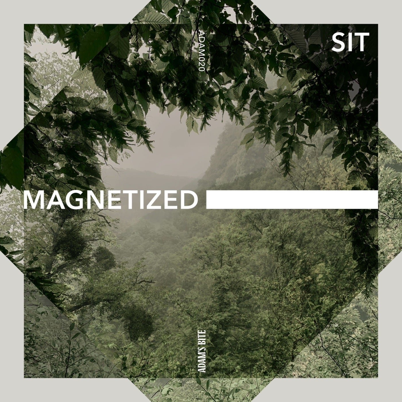 Magnetized