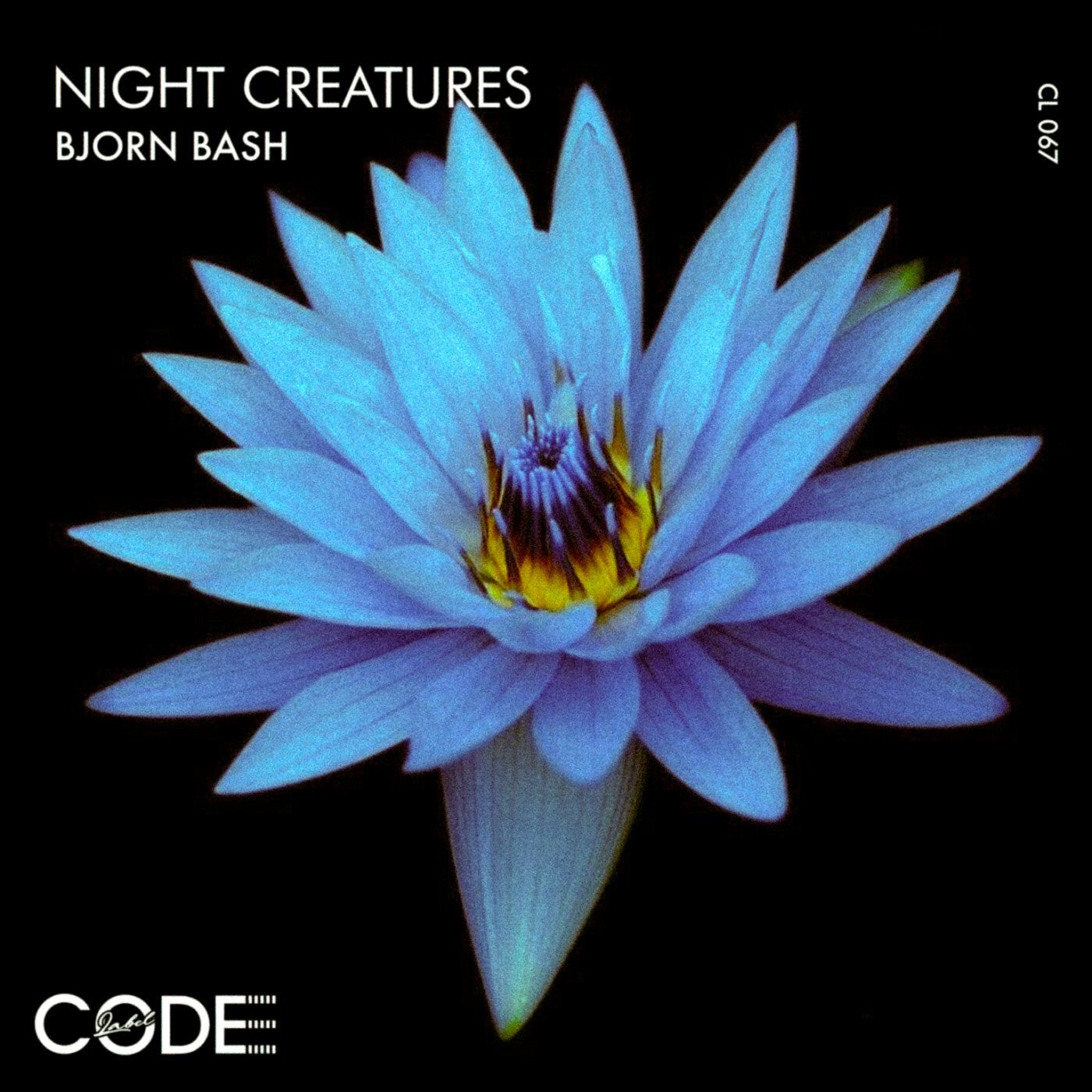 Night Creatures