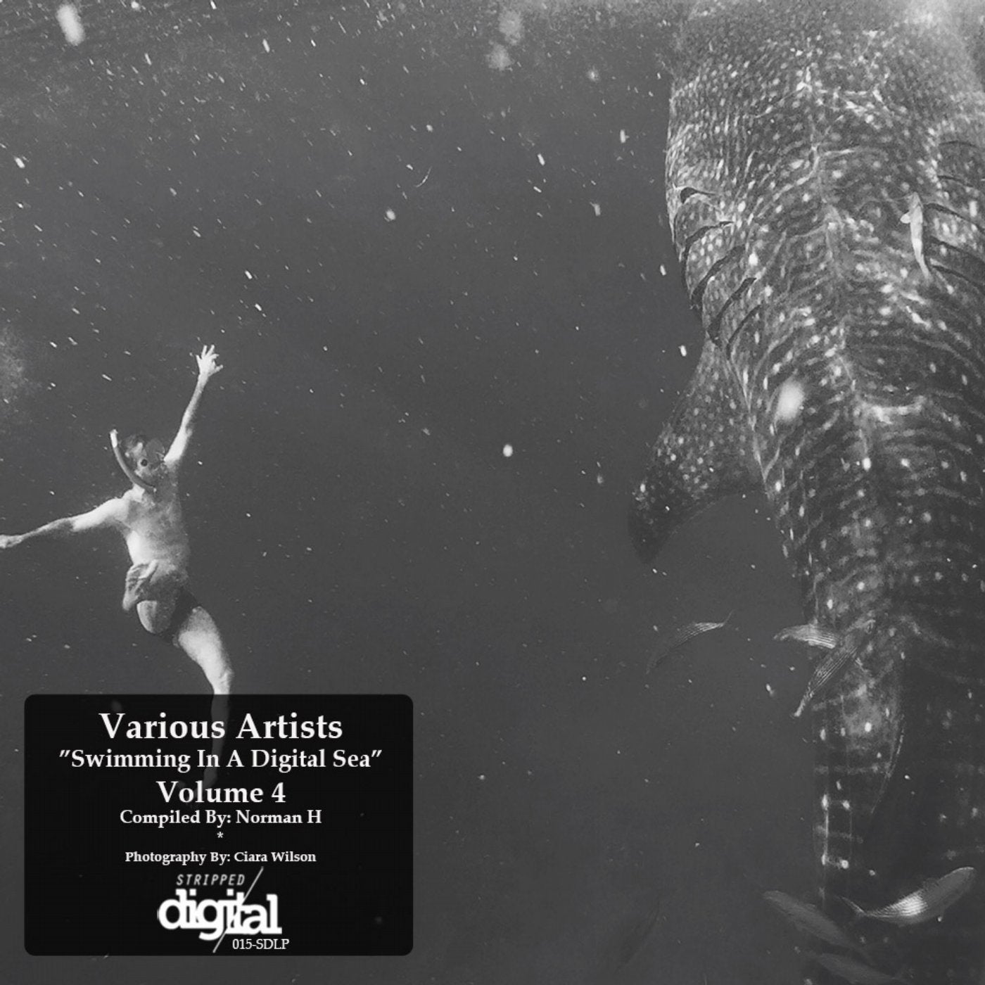 Various Artists - Swimming In A Digital Sea: Volume 4: Compiled By Norman H