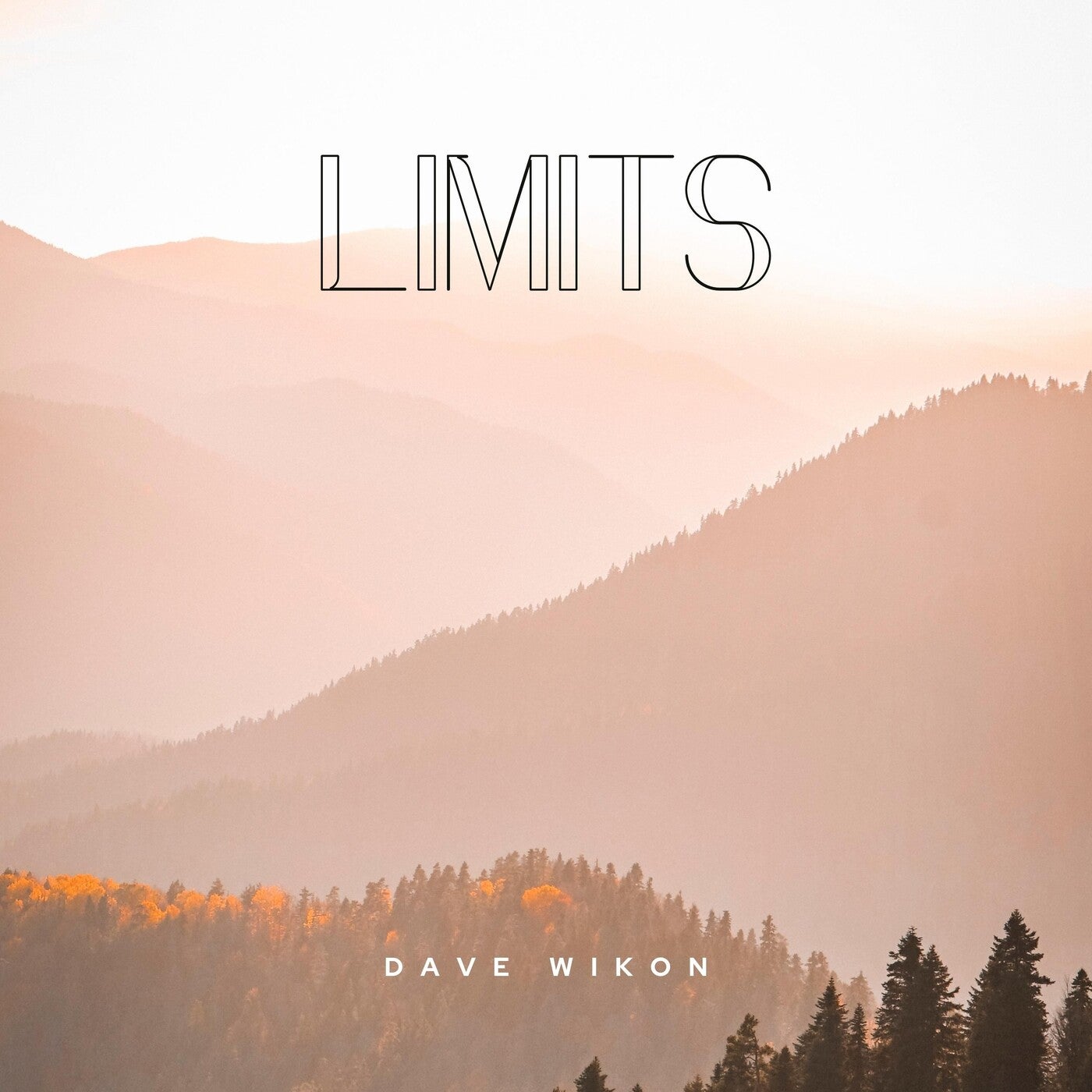 Limits