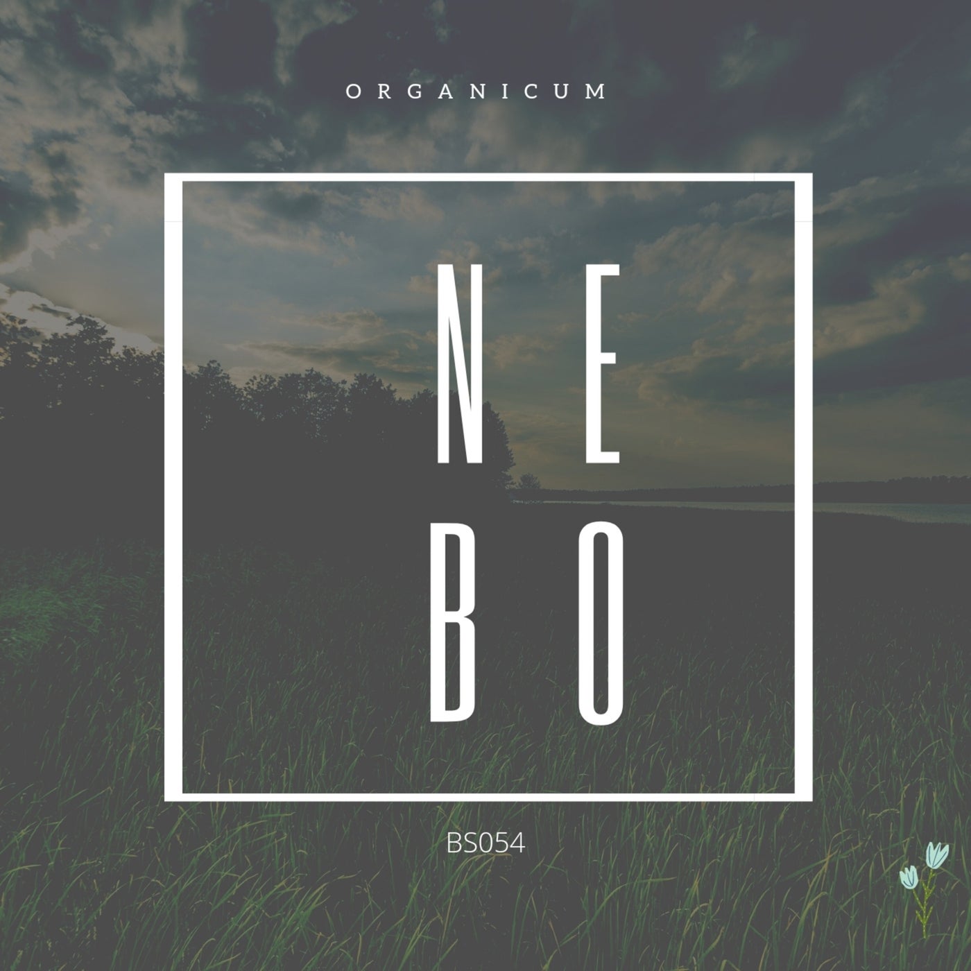 Nebo