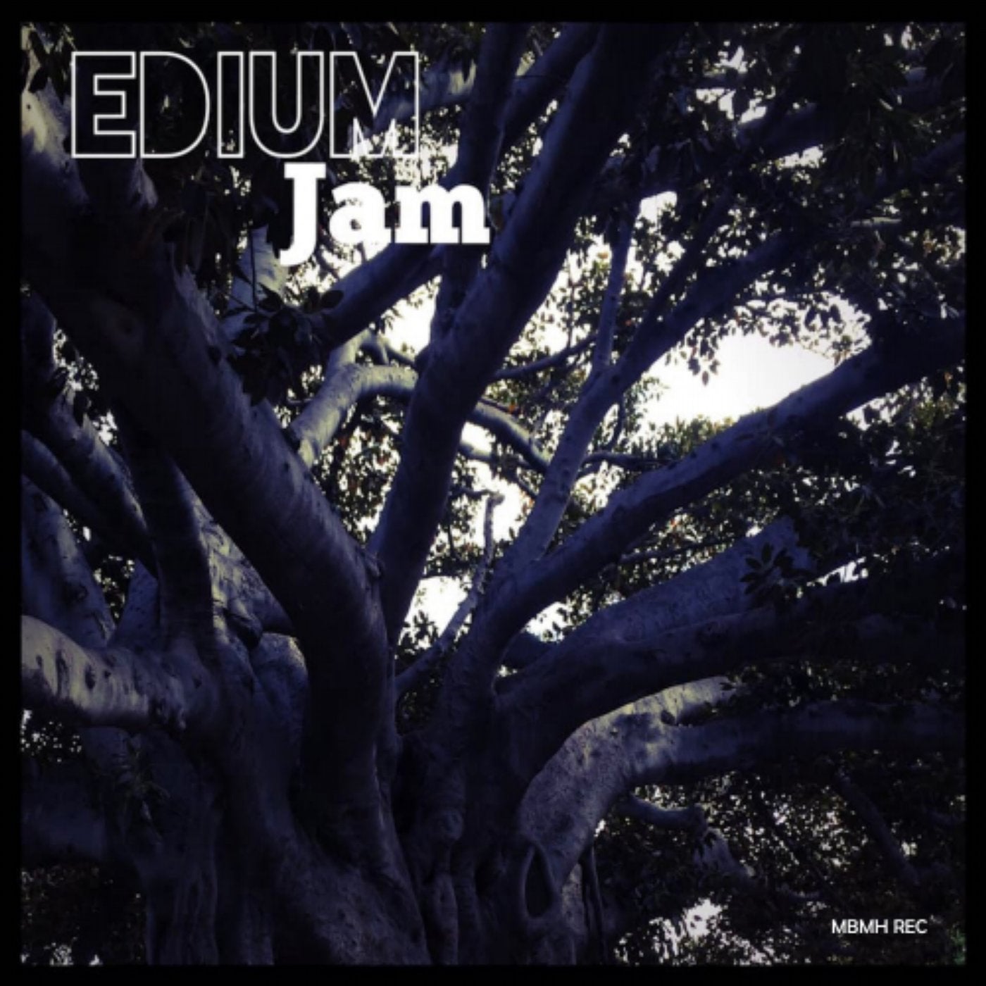 JAM
