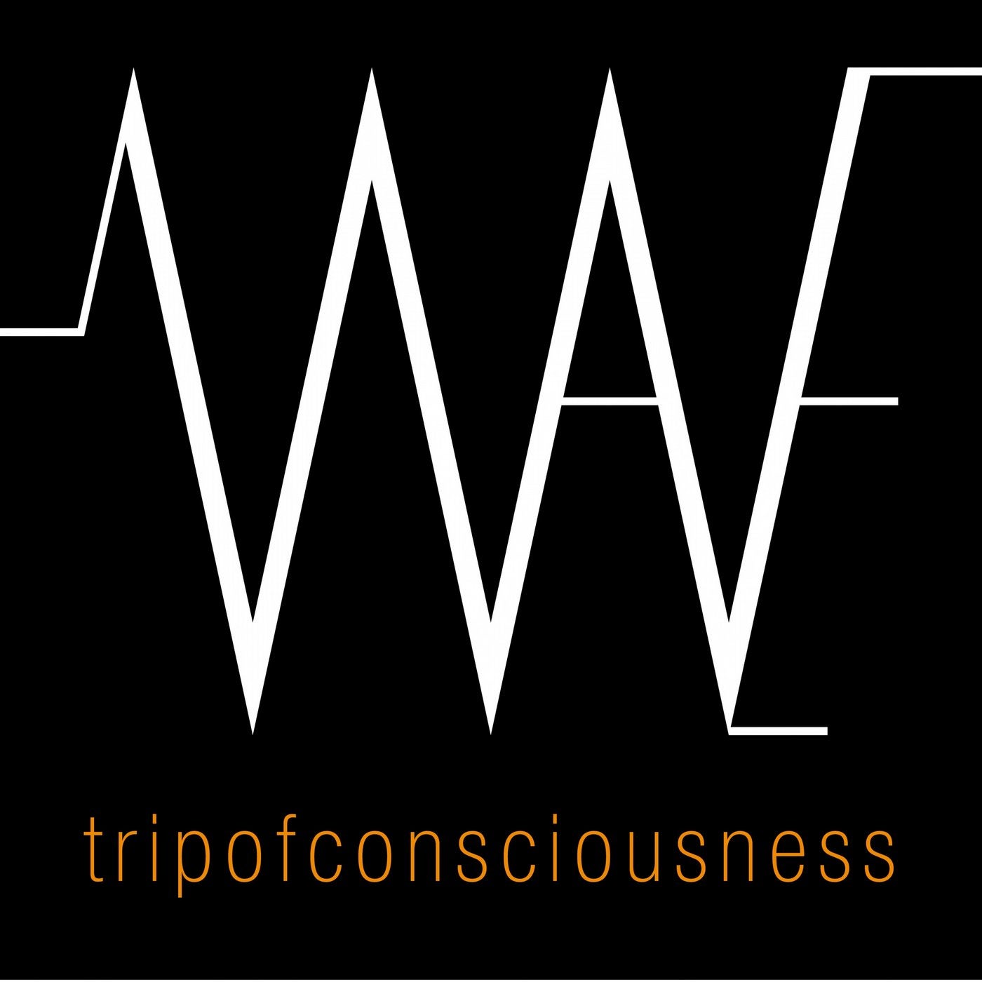 Trip of Consciousness