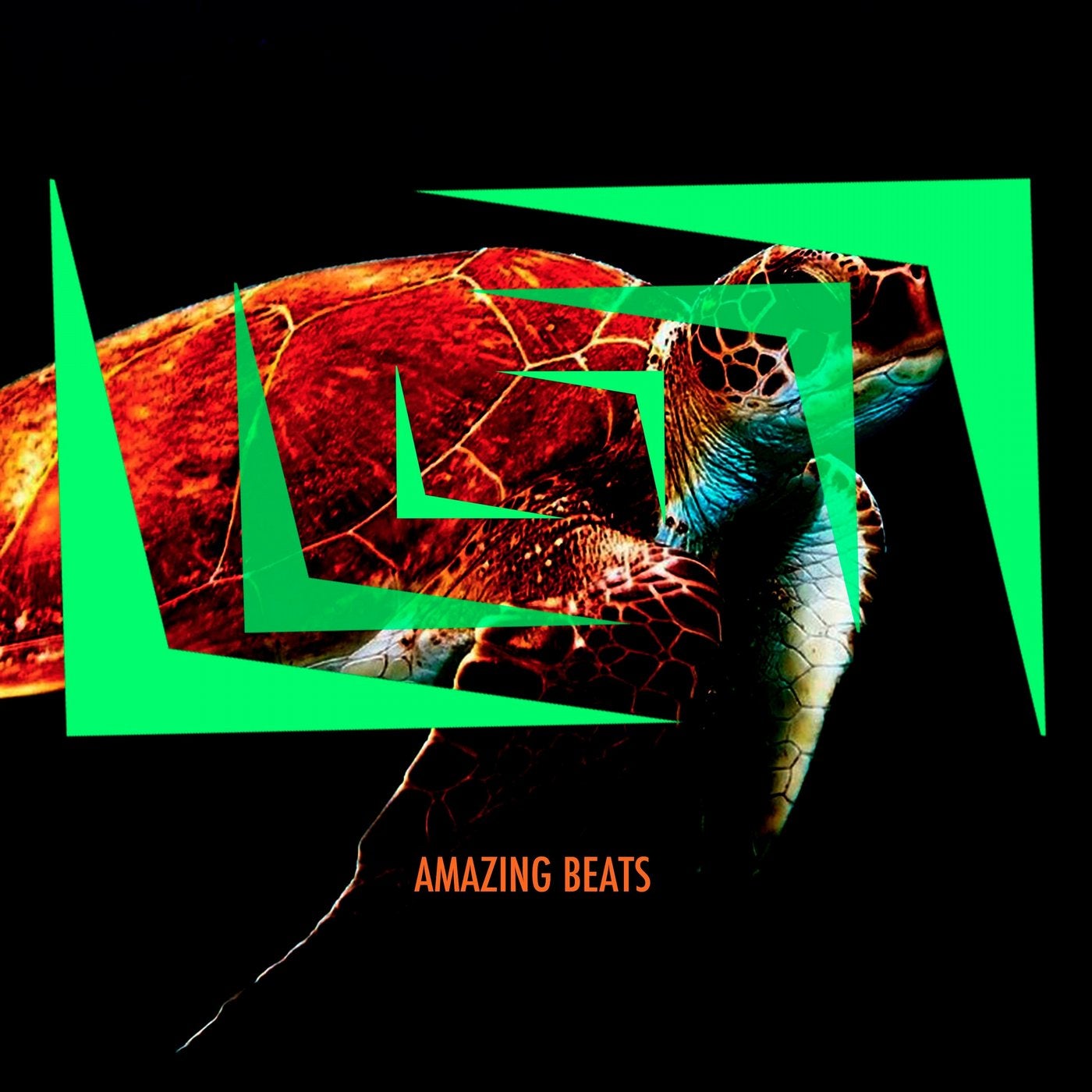 Amazing Beats