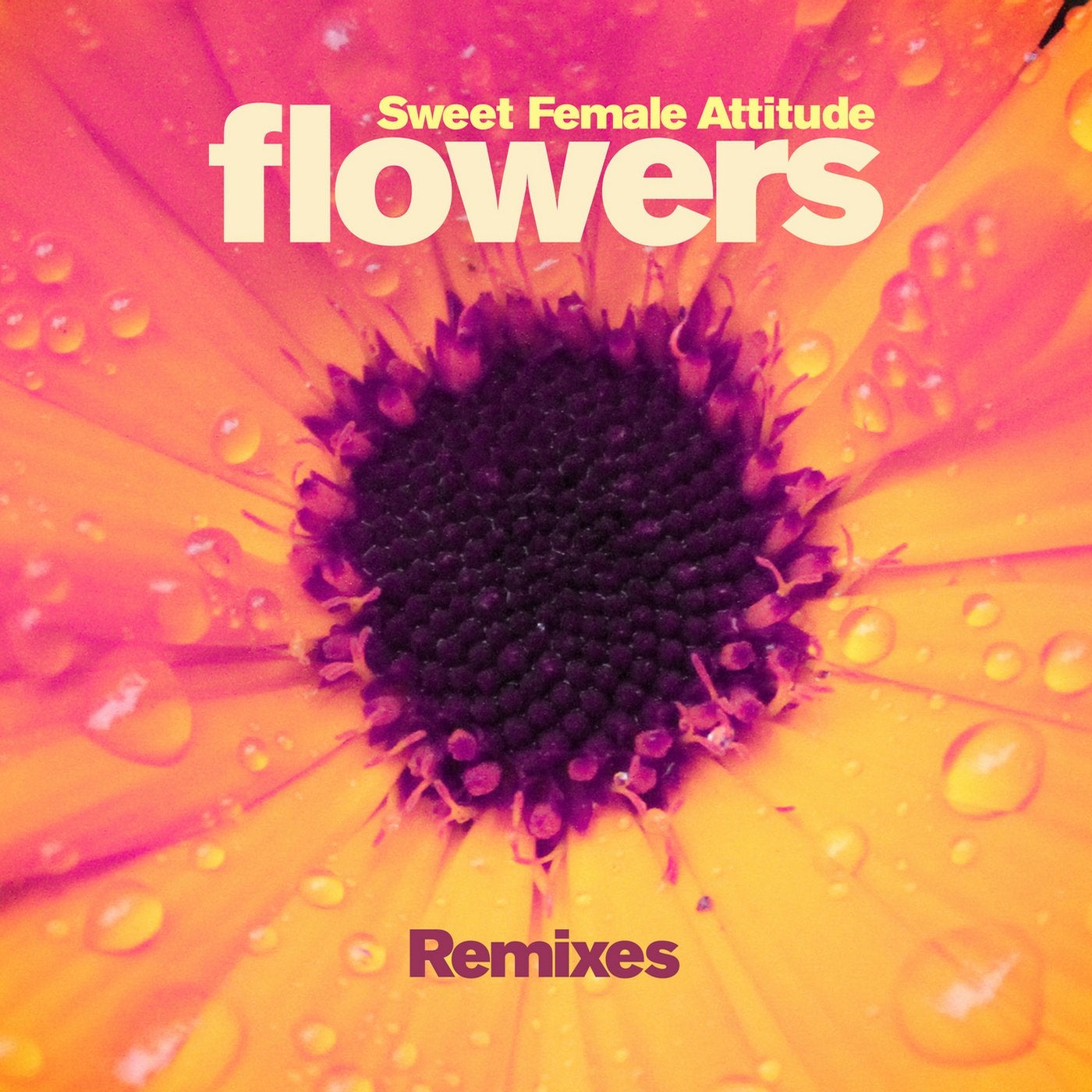 Песня flowers. Sweet female attitude. Цветков Remix. Life is a Flower Remixes. Bottom Song Flower.