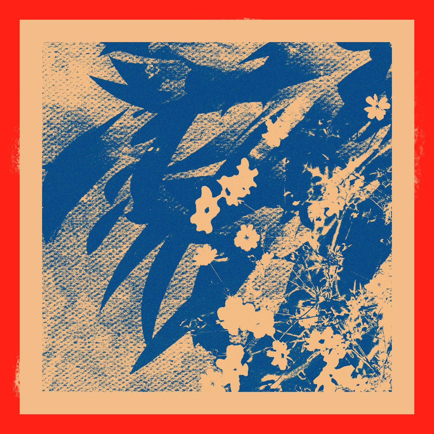 ecology of the wind