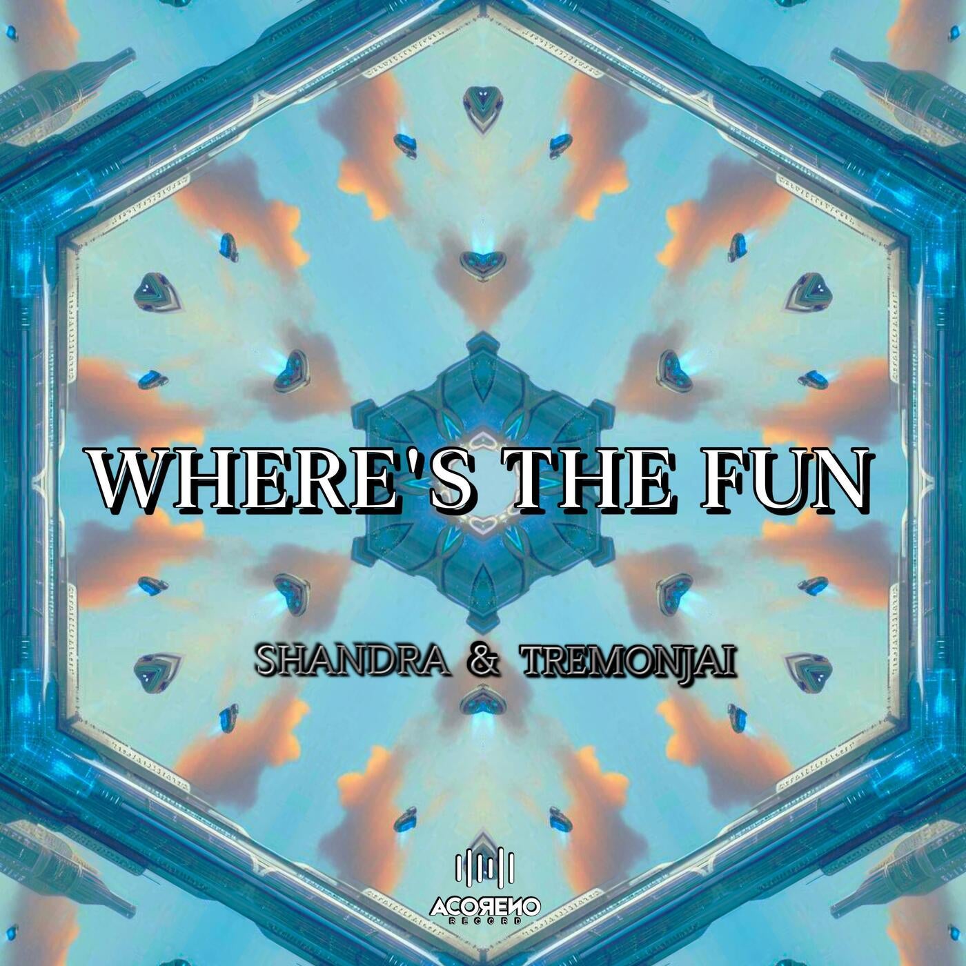 WHERE'S THE FUN
