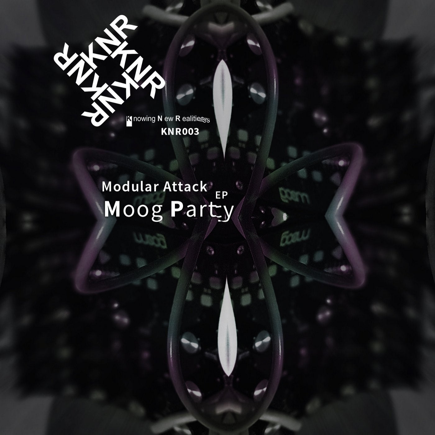 Moog Party