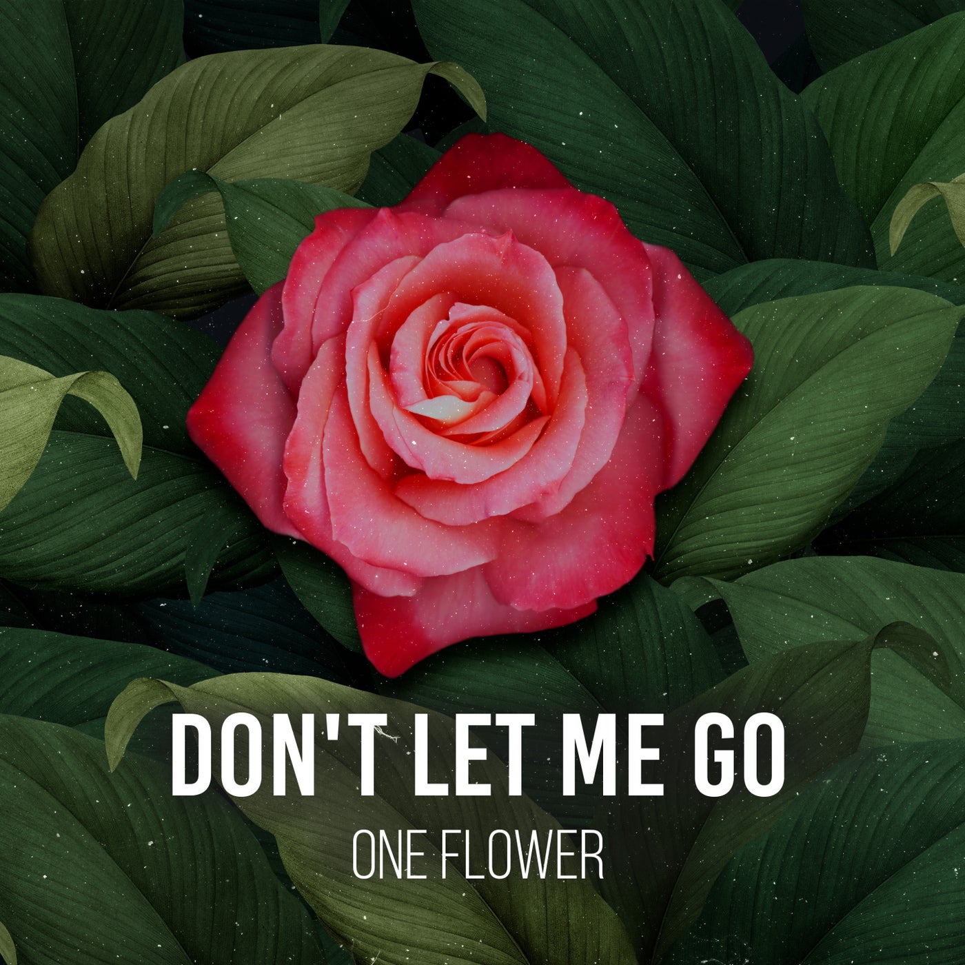 Don't Let Me Go