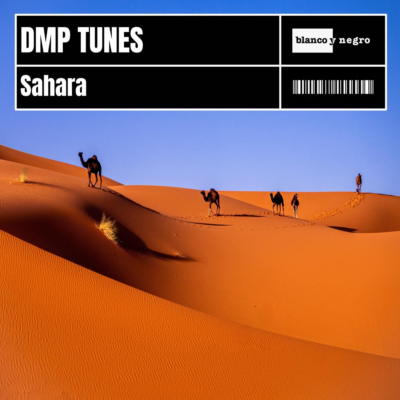 Sahara