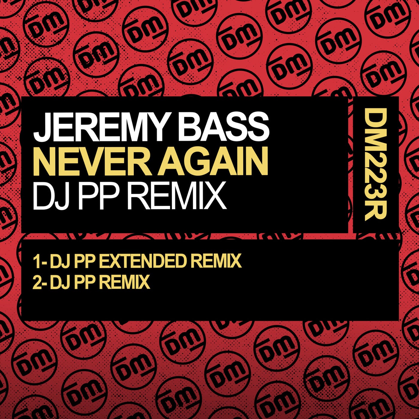 Never Again (DJ PP Remix)