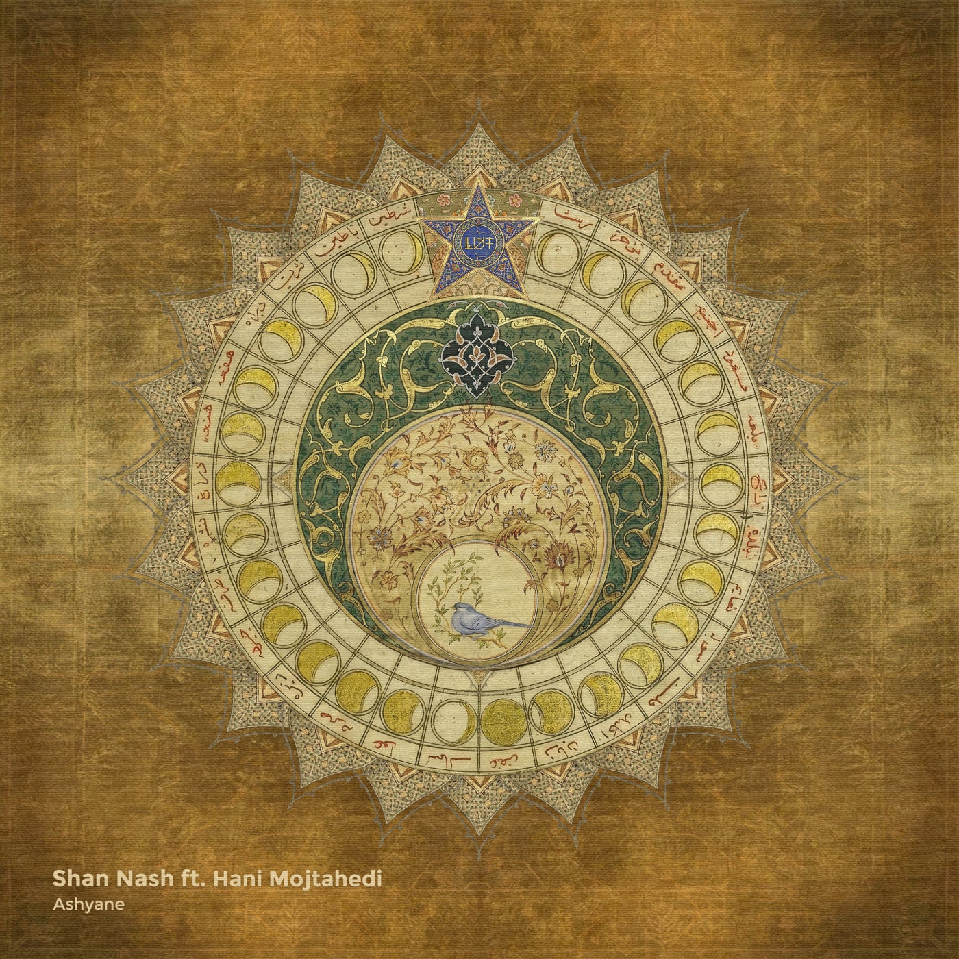Shan Nash, Hani Mojtahedy - Ashyane