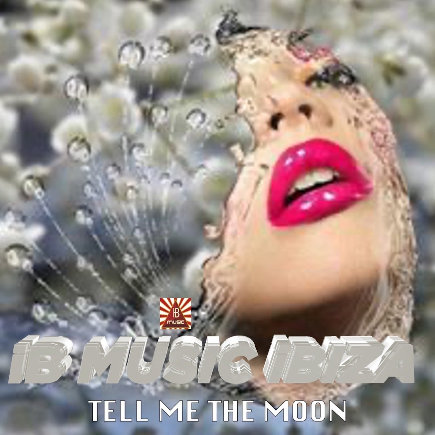 Tell me the Moon
