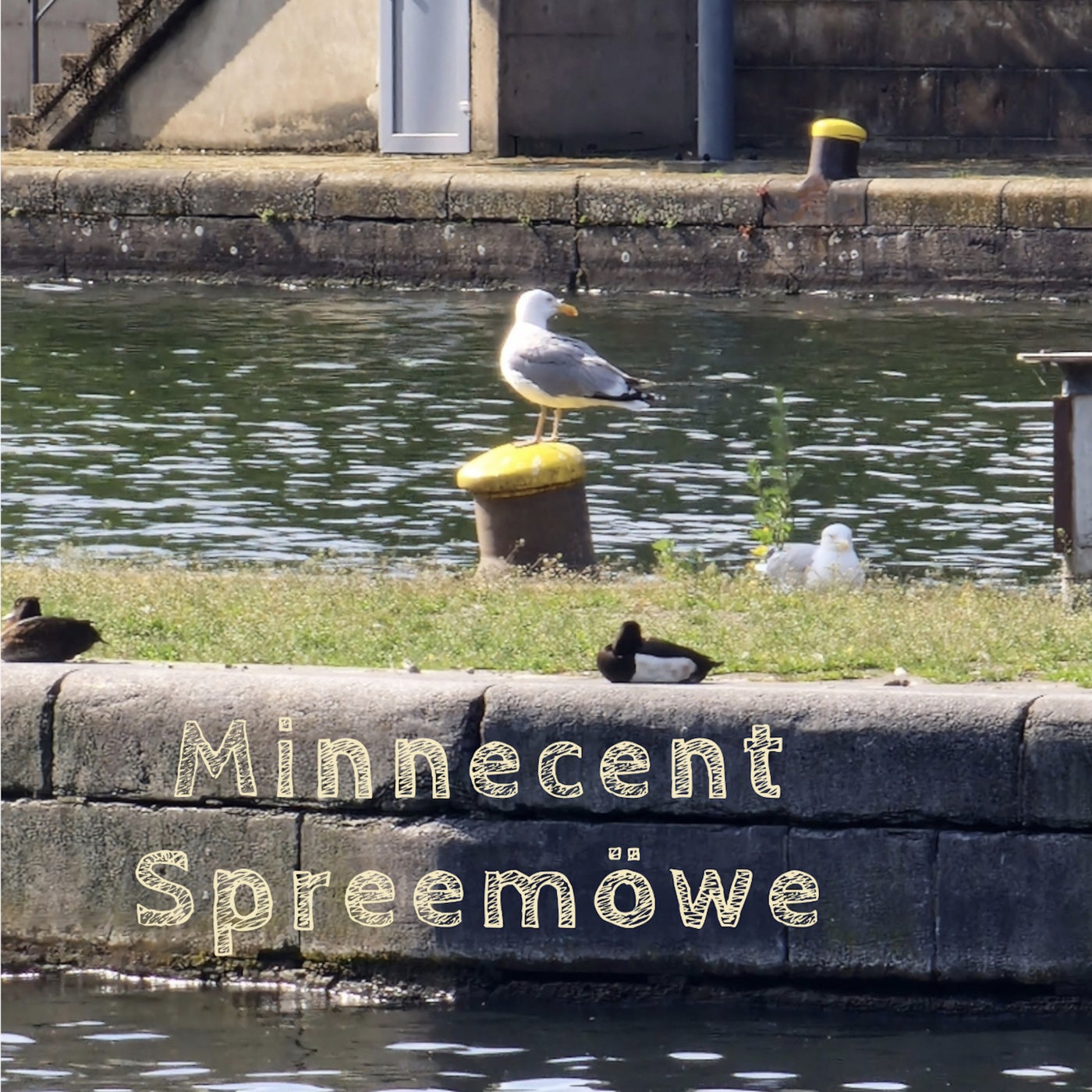 Spreemowe