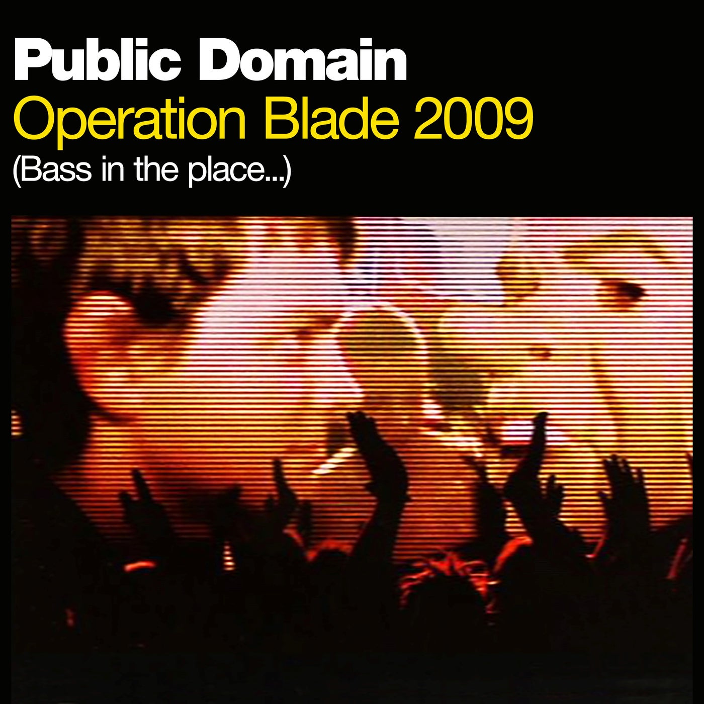 Operation Blade 2009 (Bass in the Place)