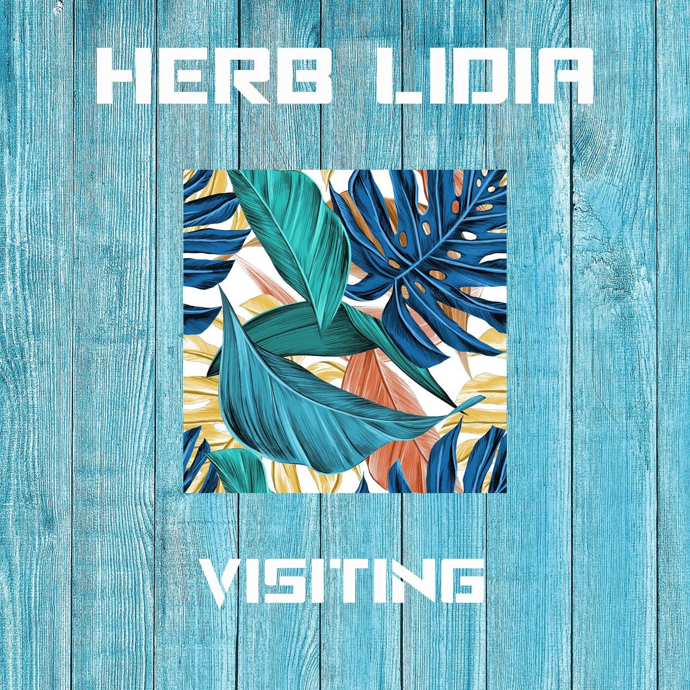 Visiting