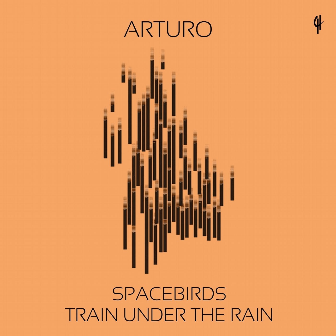 Spacebirds / Train Under the Rain