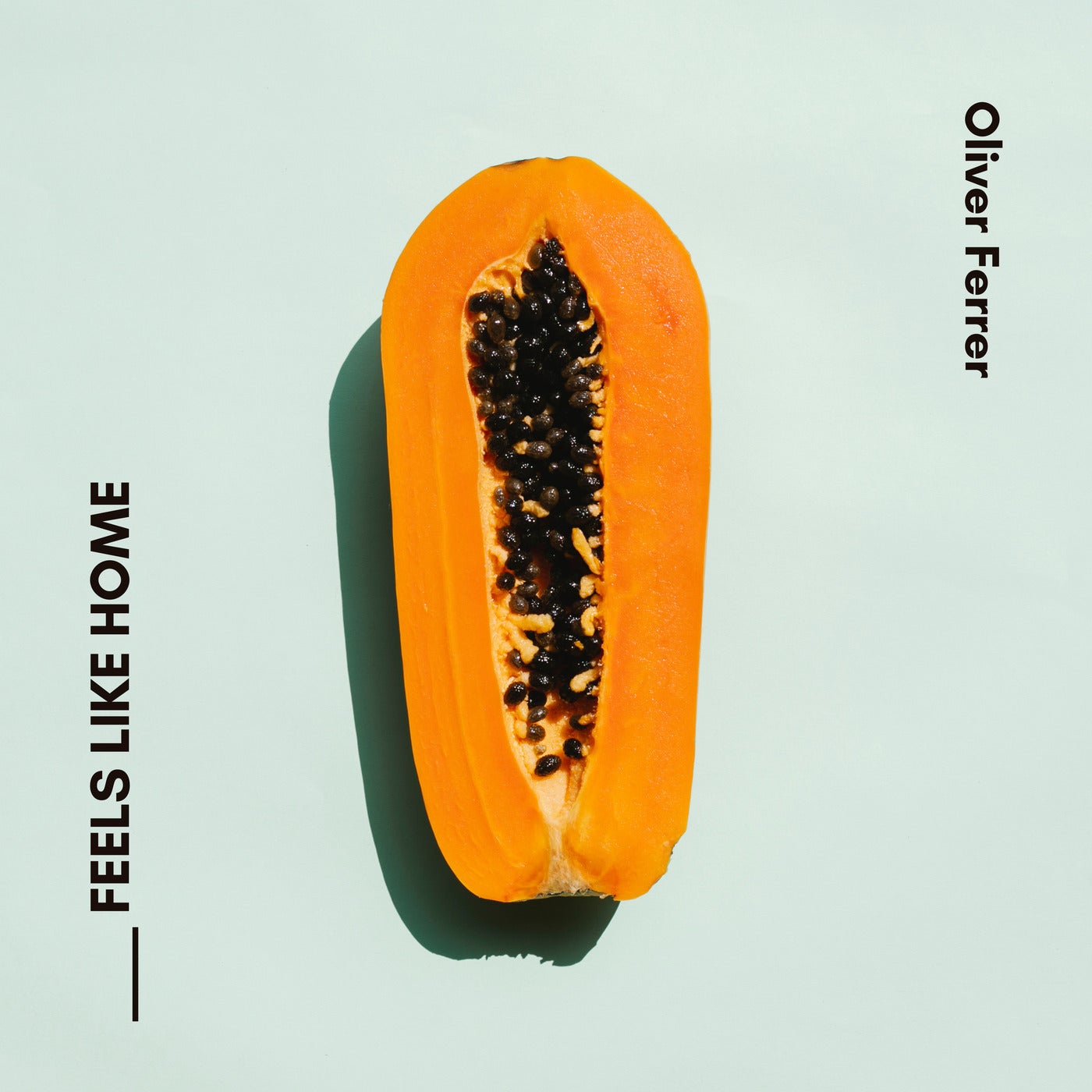 Cover art for Feels Like Home