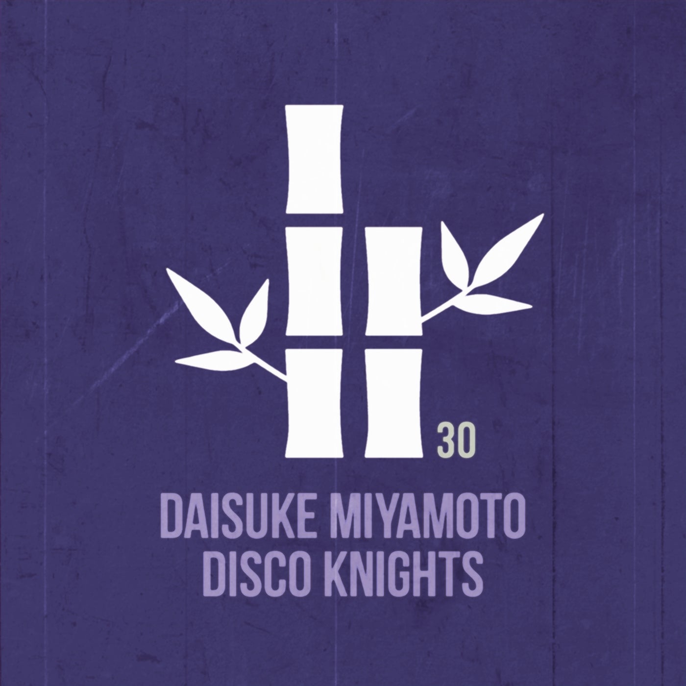 Disco Knights