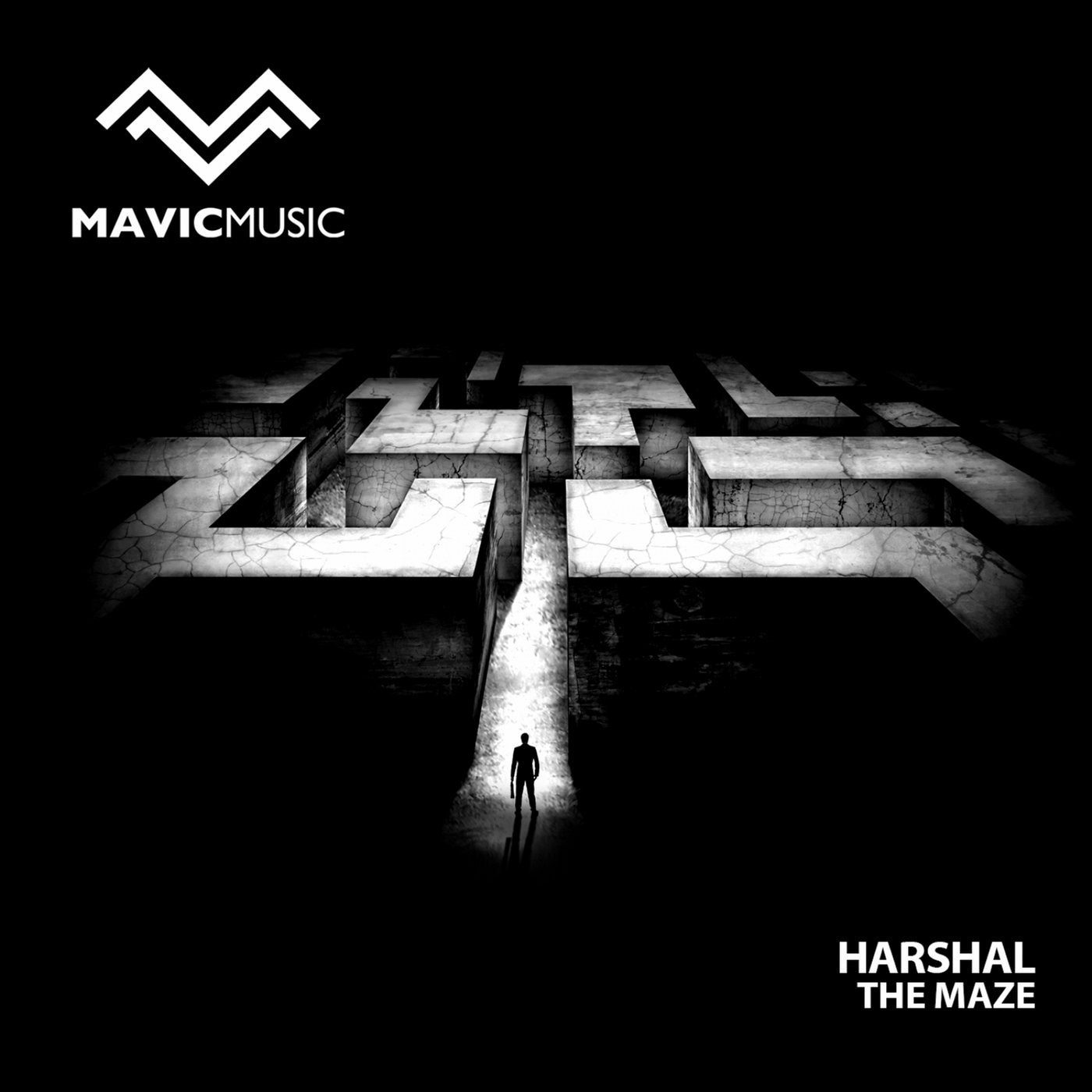 The Maze
