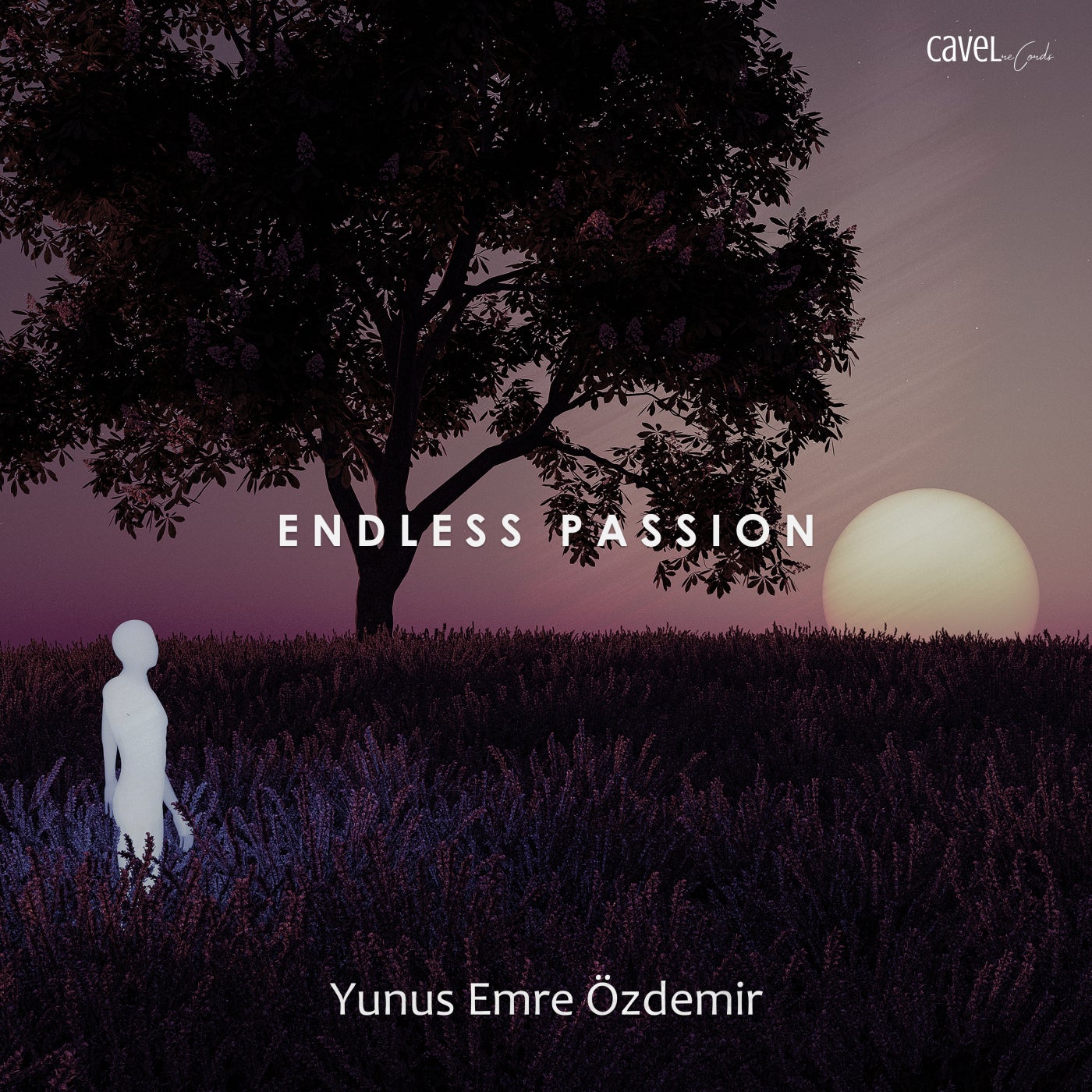 Endless Passion
