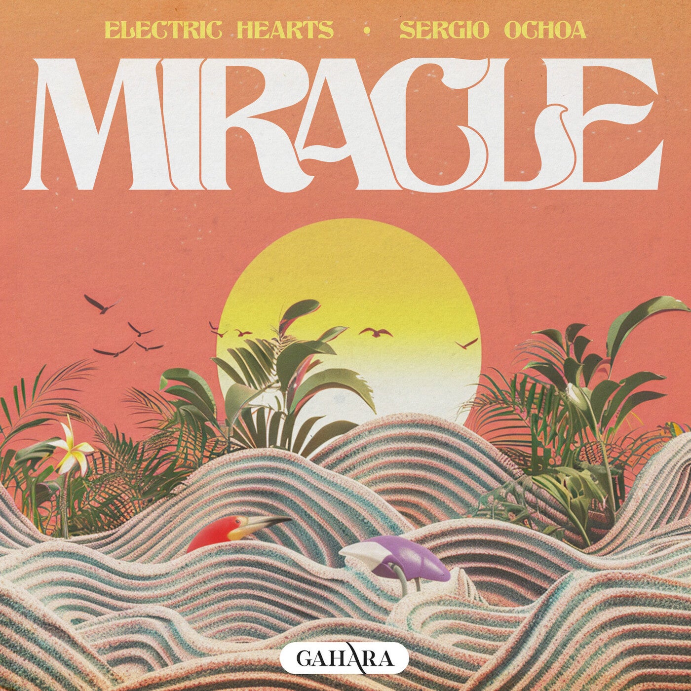 Miracle